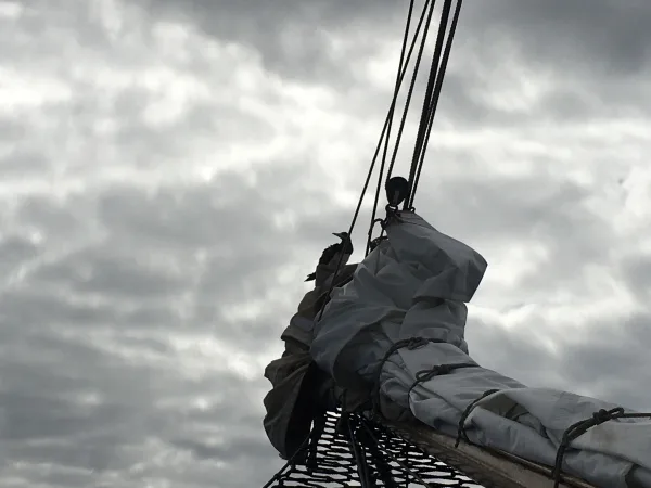 Booby on bowsprit