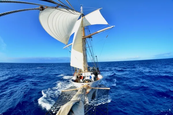 Trade wind sailing, Photo by Jan Witting