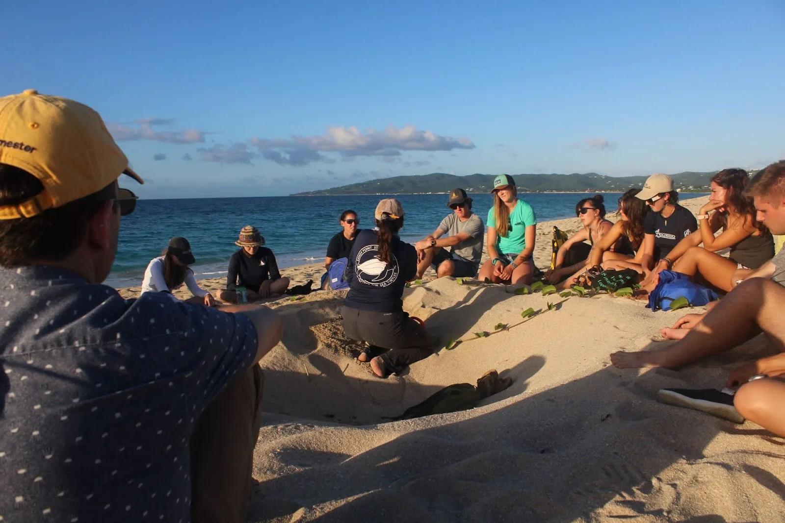 Sandy Point Turtle Nest (credit to Kaleena)