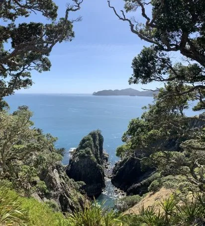 Gazing towards the eastern waters of Urupukapuka.