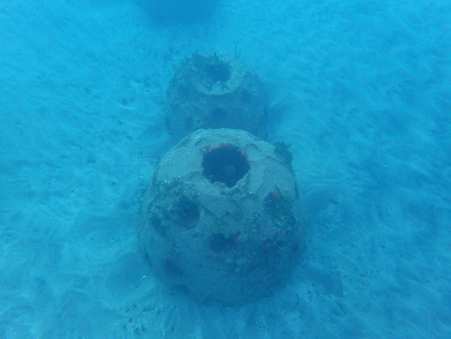 Artificial reef (file photo)