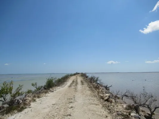 The long road in Inagua National Park