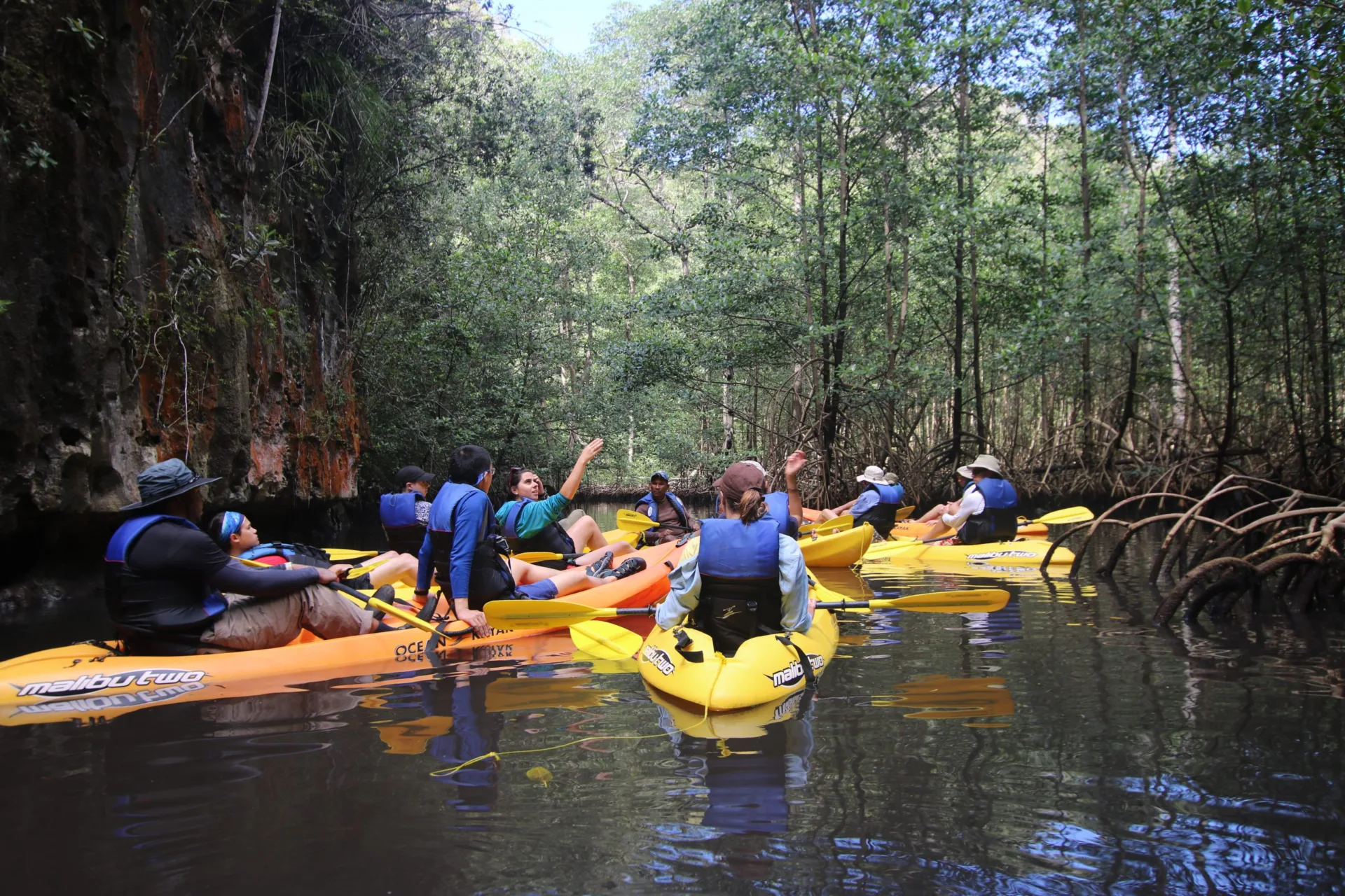 Experiential education at its finest - kayaking amongst the mangroves and limestone cliffs of Los Haitises National Park.