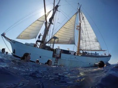 Splashing around in the Sargasso Sea.