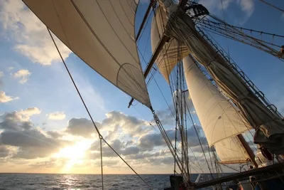 The sails of the SSV Corwith Cramer at sunset.