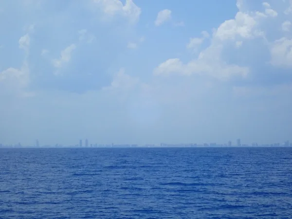 Miami skyline.