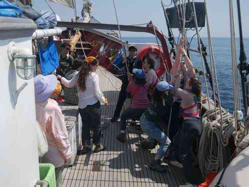 Isabella, Alex E., and Xiaoni prepare to haul away on the sheet alongside student hands and crew