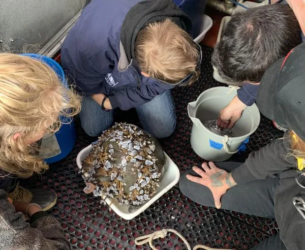 marine debris makes its way to the wet lab