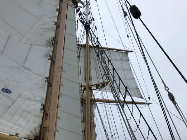 Tops’l seen from the quarterdeck.