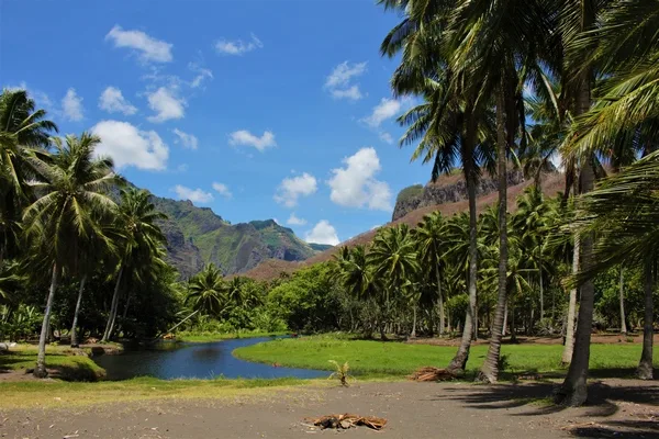 The area past the beach before our hike on Nuku Hiva. Picture by Rose Edwards