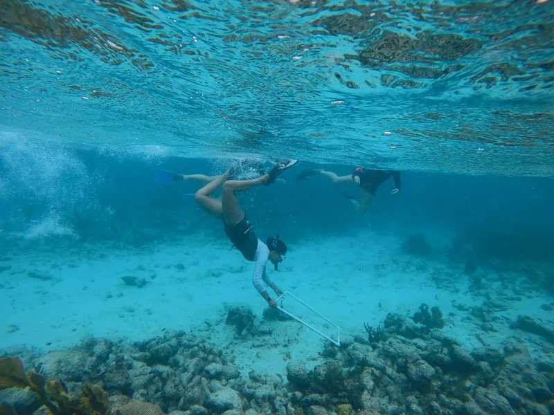 Snorkeling