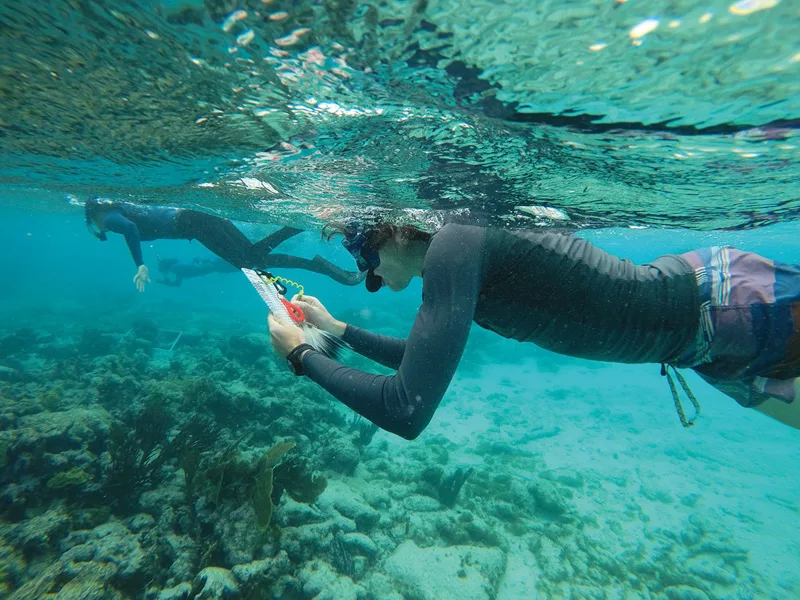 snorkeling