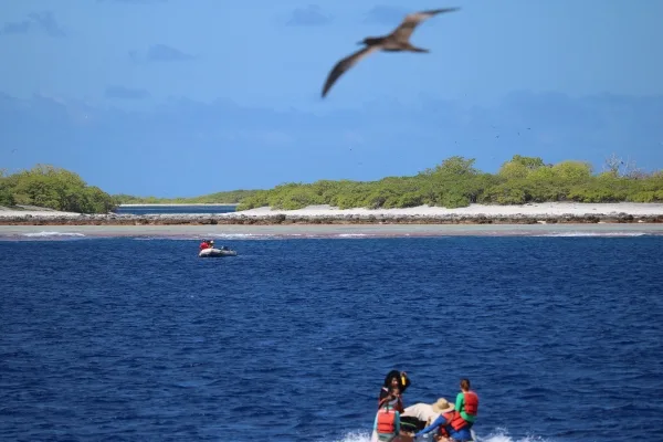 The small boats taking a group of students out to snorkel at Caroline Island, with a friendly Blue-Footed Boobie in the foreground.