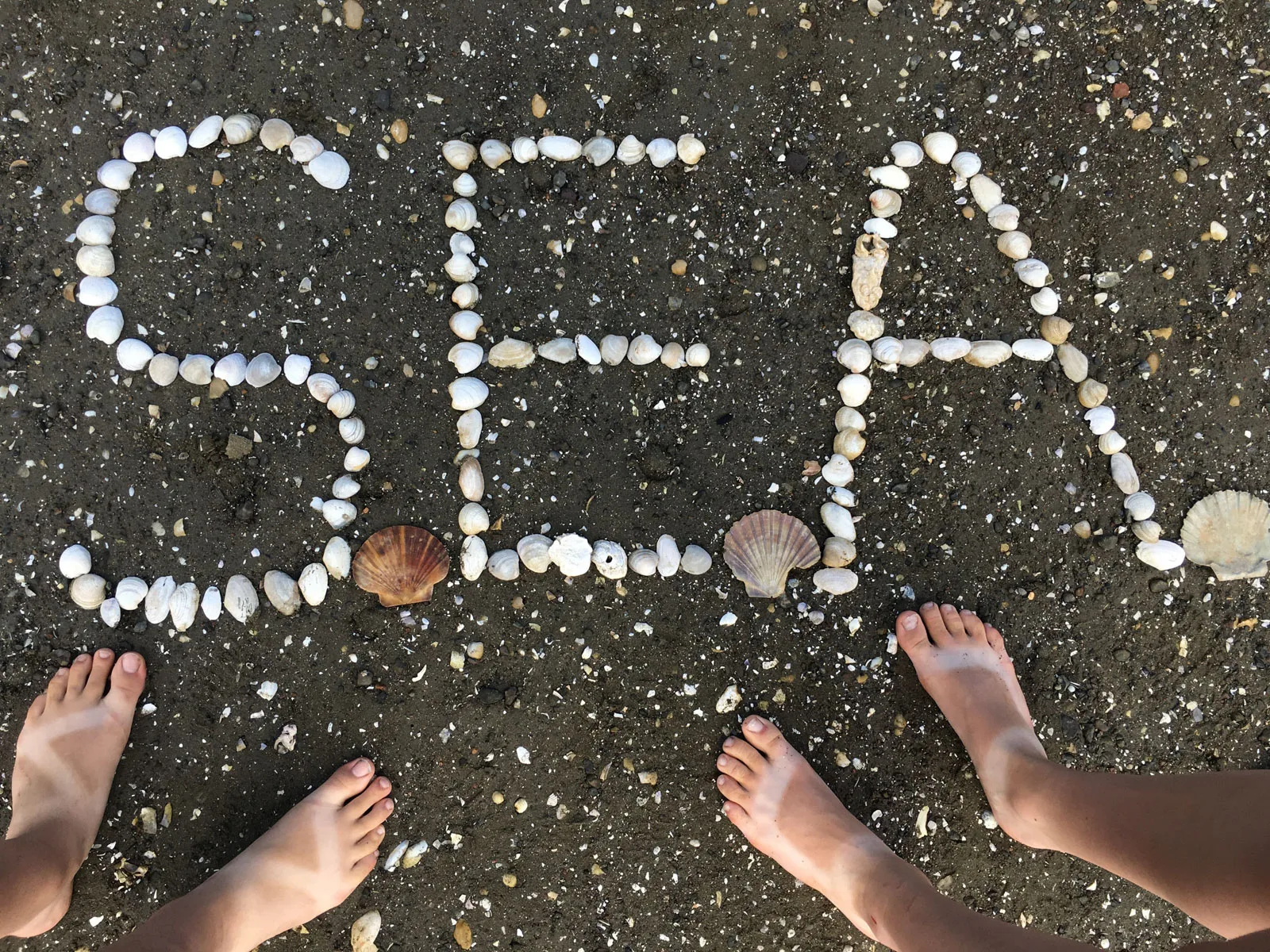 SEA shells