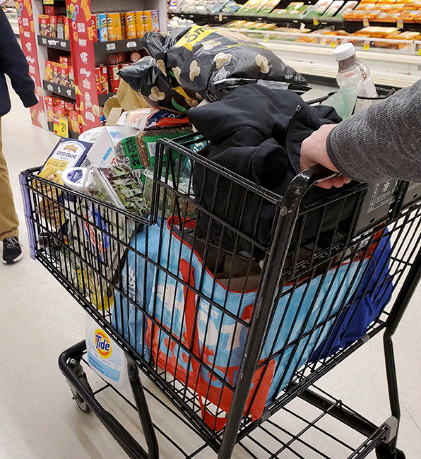 "Grocery run #1: Success! $270 in and an overflowing grocery cart out!"