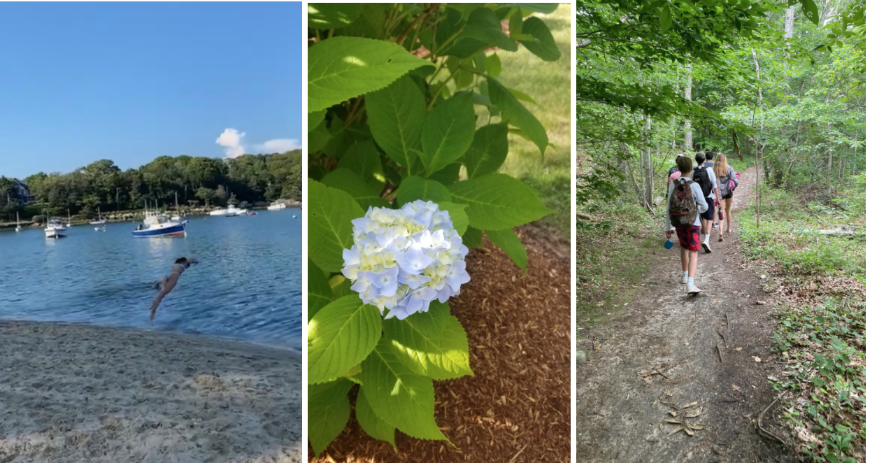 Summer in Woods Hole.