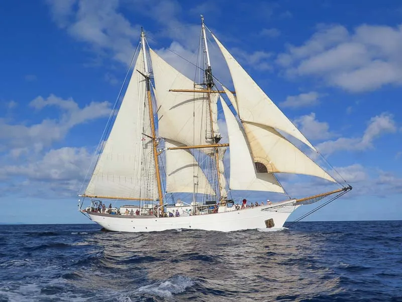 Corwith Cramer