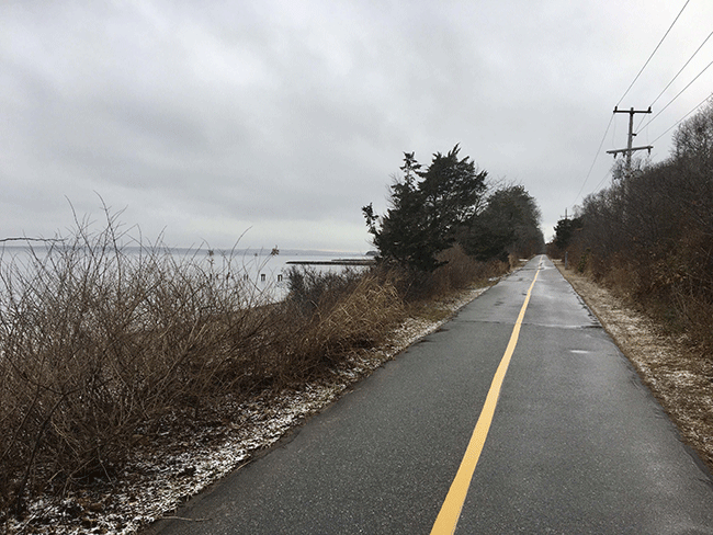 A stormy day along the bike path into town.